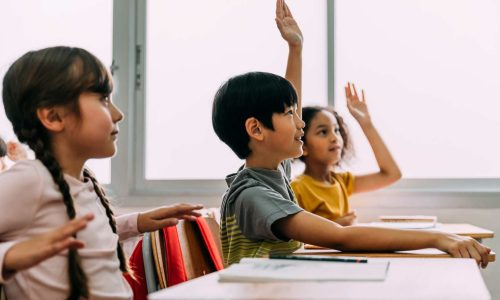 Primary 4 Starter – Offline