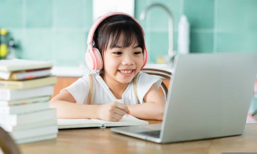 Primary 6 Starter – Offline